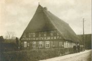 Wolters_Dagmar-5