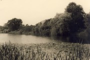 Hoffmann_Marga-63