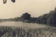 Hoffmann_Marga-80