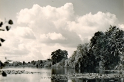 Hoffmann_Marga_Neu-6