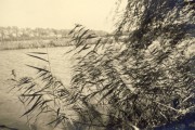 Paeuker_Barbara-30