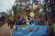 Wedemeyer_Marlies-11
