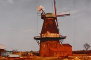 Redinius_Hinrich-3