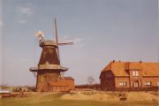 Redinius_Hinrich-5