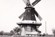 Redinius_Hinrich-8