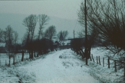 Mueffelmann_Dias-Serie-B-90