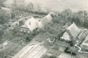 Knauerhase-3