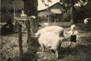 Grieme_Gerd-58